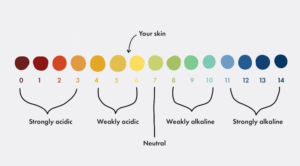 PH Level of Skin